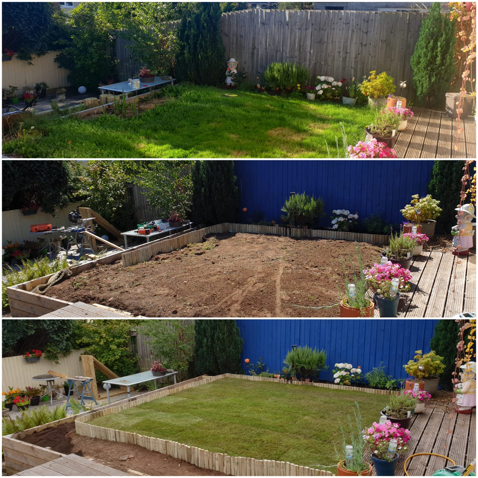 Before and after garden transformation